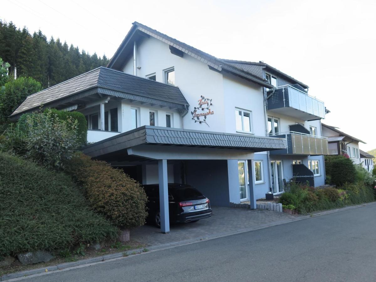 Top Fewo Mit Sommercard Winterberg Buitenkant foto